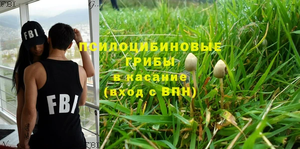 СК Бронницы