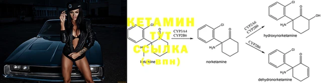 apvp Богданович