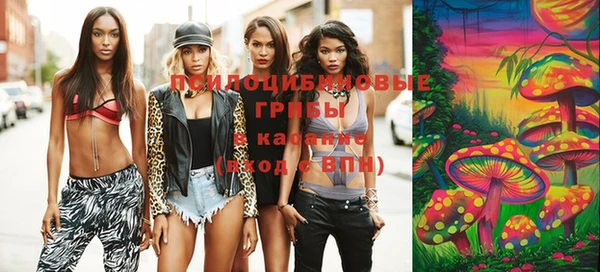 apvp Богданович