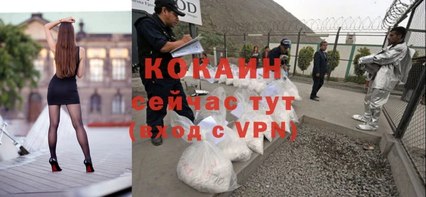 твердый Белокуриха