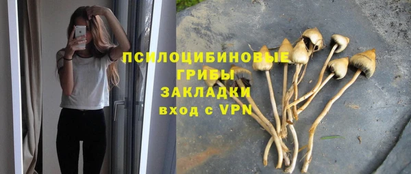 МДПВ Бугульма